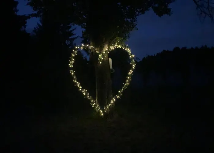 Appartamento Hillside Bio With Mountain View Prebold